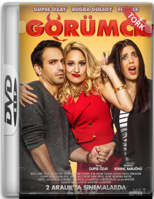 DVDRip.png