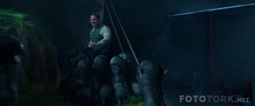 FantastikCanavarlarNelerdirNeredeBulunurlar20161080pBluRayx264TRDUBTORK_00_44_19_04_3.jpg