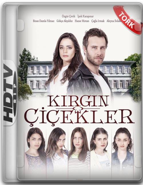 kirgin-cicekler.png