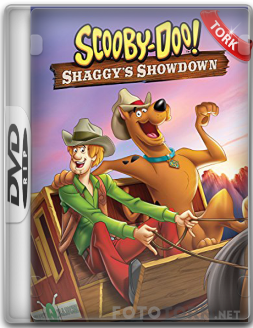 DVDRip.png