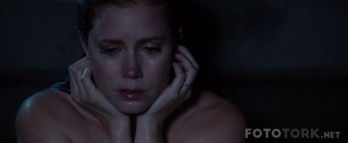 NocturnalAnimals20161080pBluRayx264DUALTR-ENGTORK_01_44_31_05_9.jpg