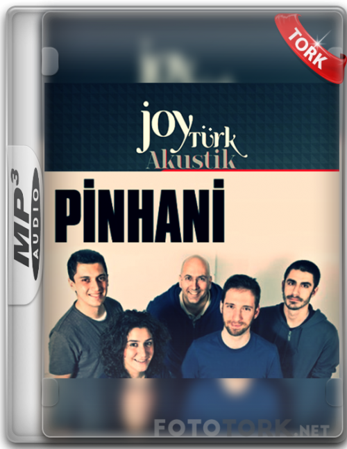 pinhani.png