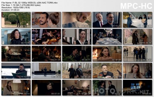 FiBL021080pWEB-DLx264AACTORK.mkv.jpg