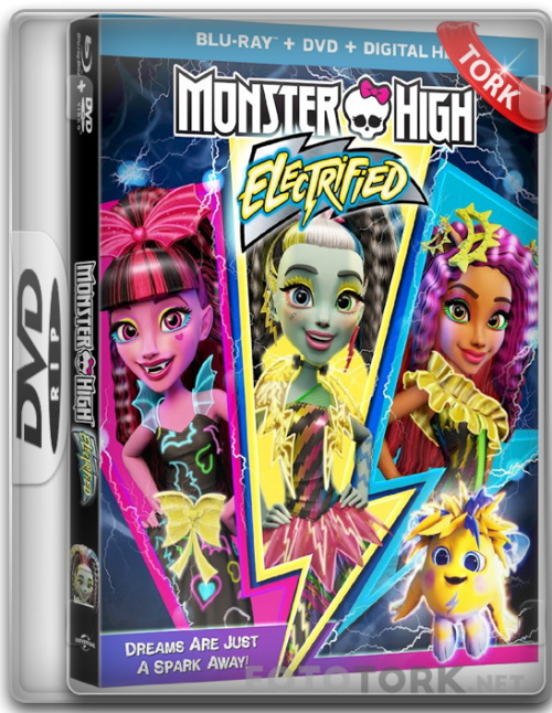 DVDRip.png