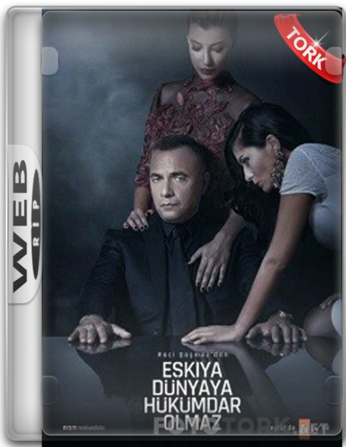 WeBRip.png