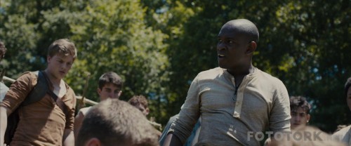 TheMazeRunner20141080pBluRayx264DUALTR-ENGTORK_00_22_43_07_2.jpg