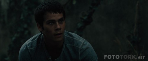 TheMazeRunner20141080pBluRayx264DUALTR-ENGTORK_00_34_04_01_3.jpg