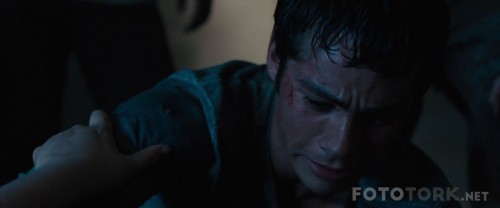TheMazeRunner20141080pBluRayx264DUALTR-ENGTORK_01_42_06_04_9.jpg