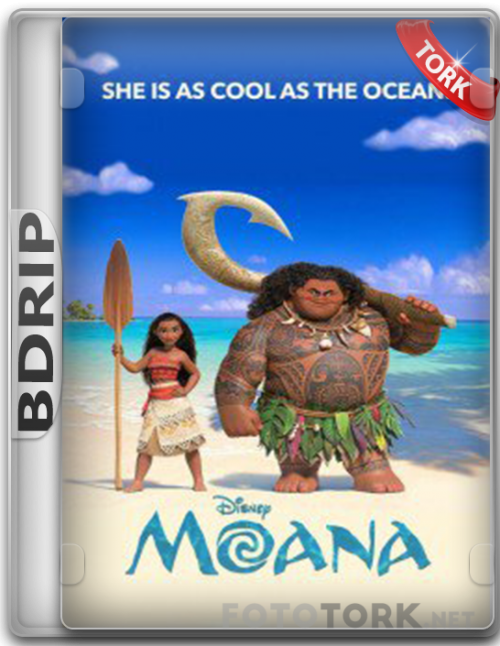 BDRip.png