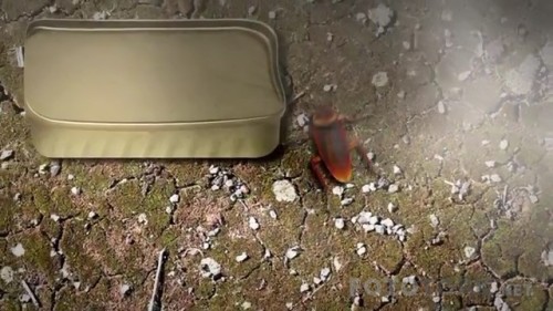 FactomaniaSasirticiGercekler6.BolumTORK.mkv_snapshot_07.40_2017.04.11_17.06.20.jpg