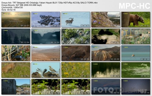 TRTBelgeselHDOrtadoguYabanHayatiBL01720pHDTvRipAC3BySALCITORK.mkv_thumbs_2017.04.12_16.18.48.jpg
