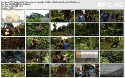 TRTBelgeselHDYabanciHayatiKesfetBL01720pHDTvRipAC3BySALCITORK.mkv_thumbs_2017.04.14_16.34.42.jpg