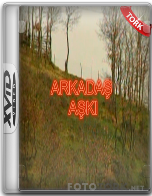 Xvid.png