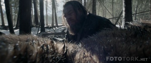 TheRevenant20151080pBluRayx264DUALTR-ENGTORK_01_02_34_03_4.jpg