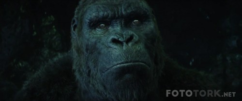 Kong.Skull.Island.2017.720p.KORSUB.HDRip.x264.AAC2.0-STUTTERSHIT.mp4_snapshot_01.07.46_2017.04.21_21.30.26.jpg