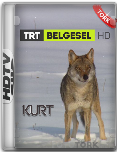 kurt.png