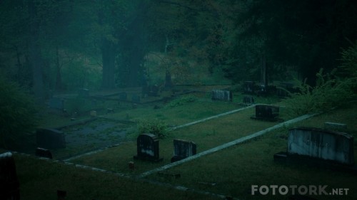 Rings.2017.1080p.BluRay.H264.AACTORK.mkv_snapshot_00.56.55_2017.04.30_18.36.12.jpg