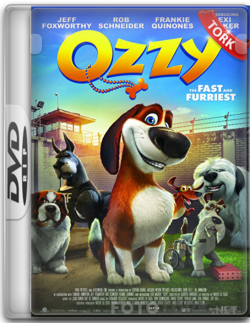 DVDRip.png