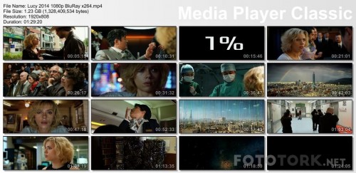 Lucy20141080pBluRayx264.mp4_thumbs_2017.05.06_01.49.01.jpg