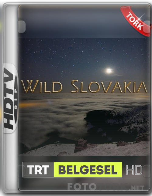 vahsislovakya.png