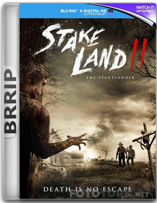 BRRip.png