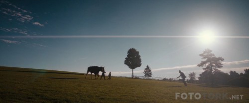 AmericanPastoral20161080pBluRayx264DUALTR-ENGTORK_00_07_15_09_1.jpg