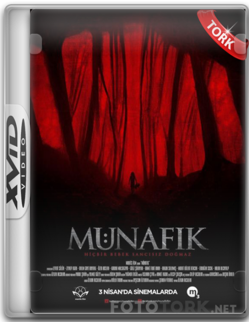 Xvid.png