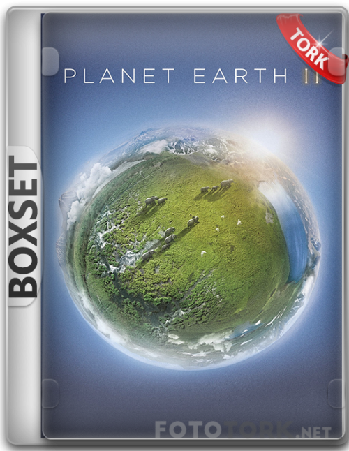 BoxSet.png