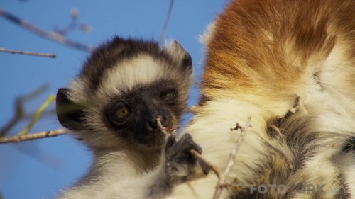PlanetEarthII2016E011080pBluRayx264DUALTR-ENTORK_00_14_44_07_2.jpg