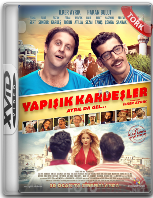 Xvid.png