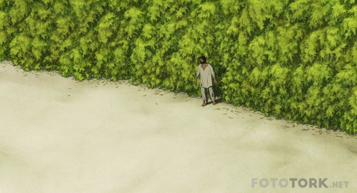 TheRedTurtle20161080pBluRayx264DUALTR-ENGTORK_00_16_12_03_4.jpg
