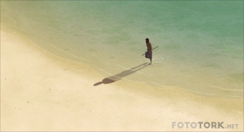 TheRedTurtle20161080pBluRayx264DUALTR-ENGTORK_00_28_19_03_7.jpg