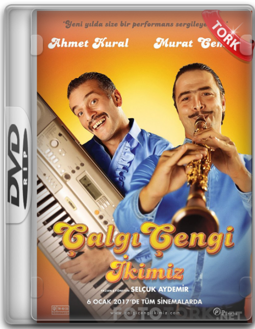 DVDRip.png