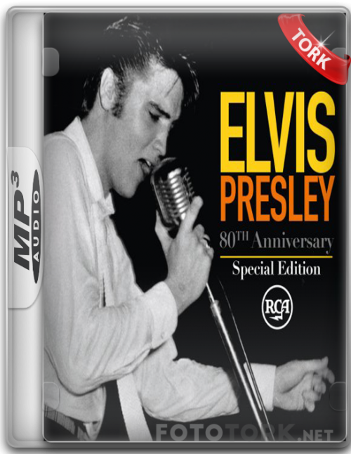 elvisMp3.png