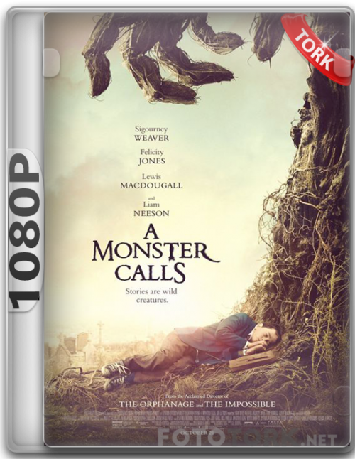 1080p64e4e.png