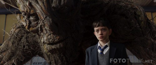 AMonsterCalls20161080pBluRayx264DUALTR-ENGTORK.mkv_snapshot_01.12.48_2017.05.27_16.46.05.jpg