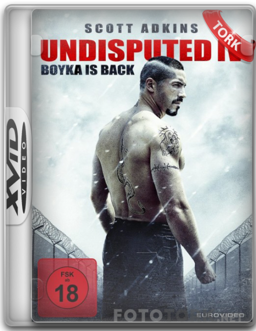 Xvid.png
