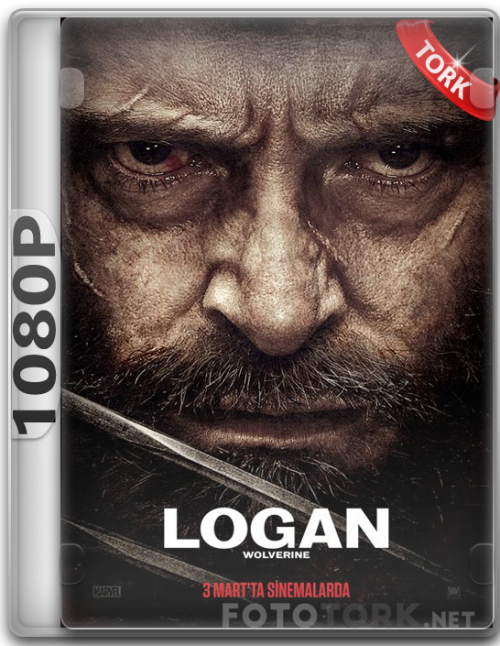 1080p.png