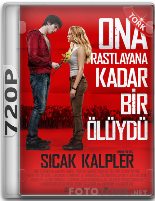 720p65f98.png