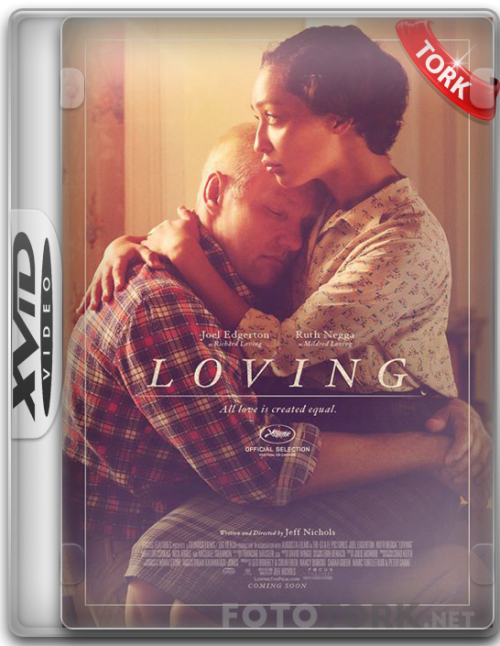 Xvid.png