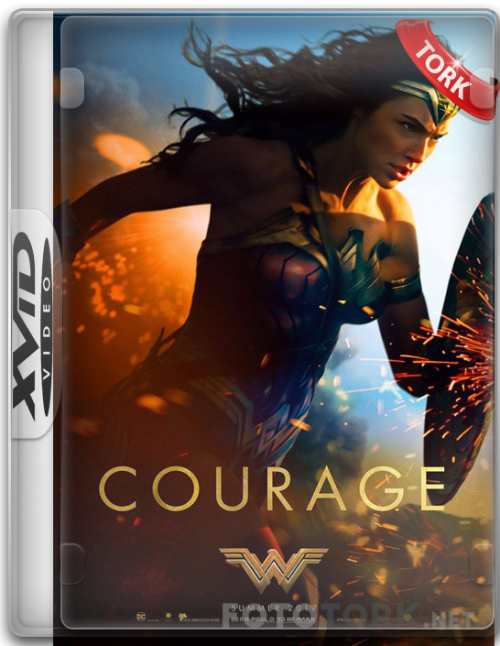 Xvid.png