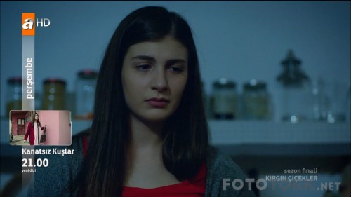 Kirgin.Cicekler.Sezon.Finali.BL.88.HDTvRip.720p.AC3.by.07BRN91.TORK.mkv_snapshot_00.06.00_2017.06.15_14.29.37.jpg