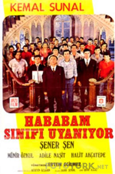 1d833a.jpg
