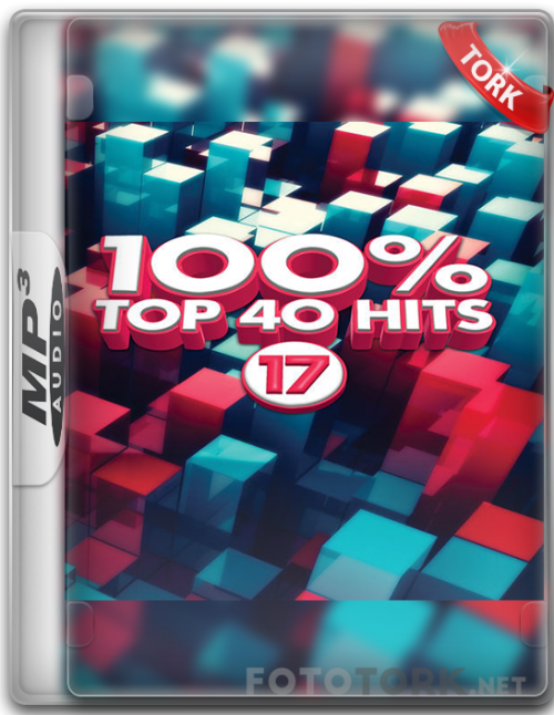 100.png