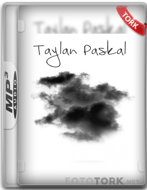 taylan.png