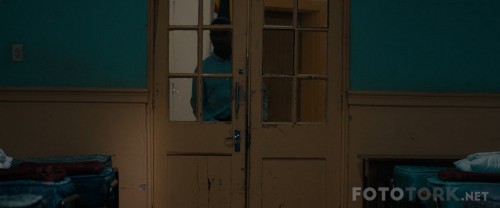 481065.jpg