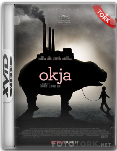 Xvid.png