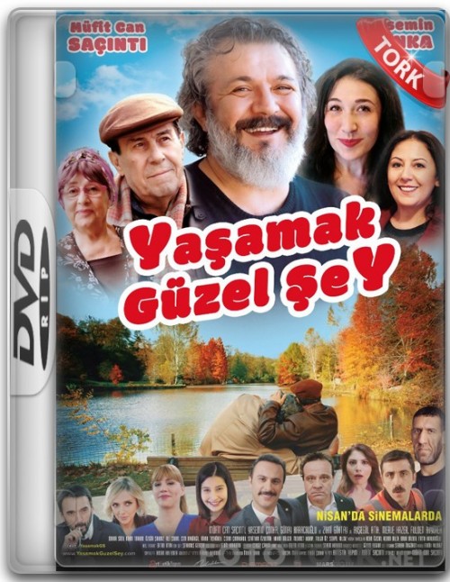 DVDRip.jpg