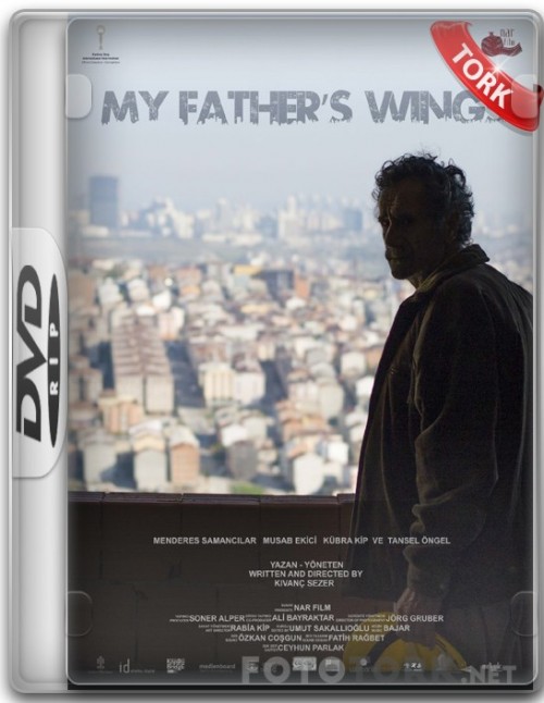 DVDRip6ff40.jpg