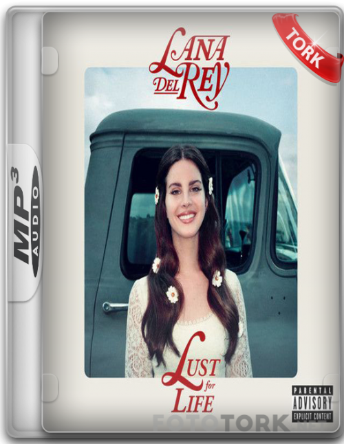 Mp31.png